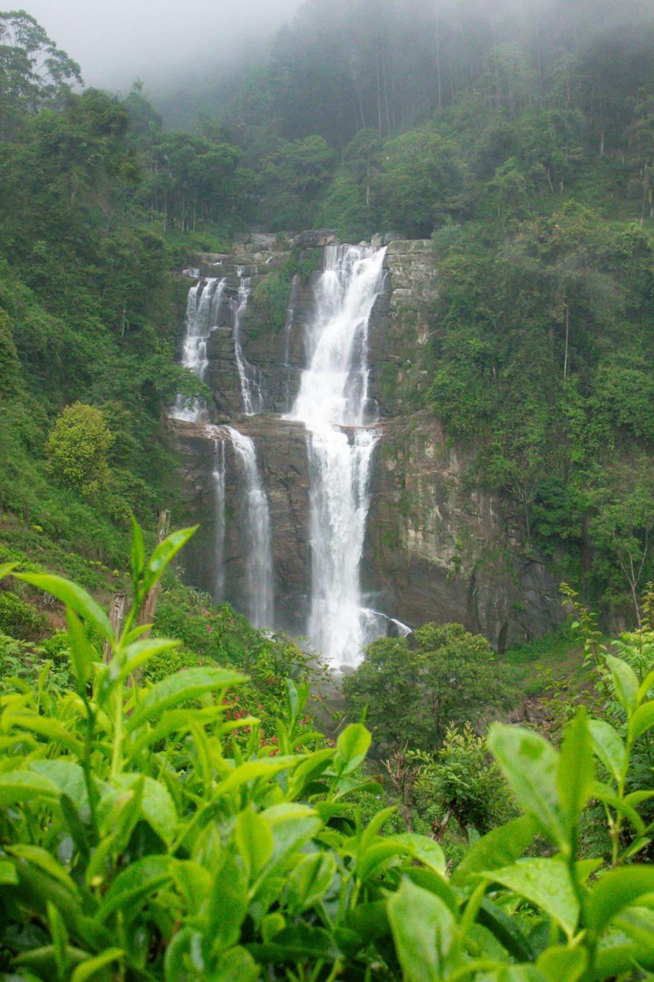 Ramboda Falls Plc Εξωτερικό φωτογραφία